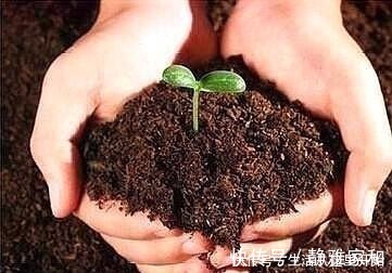 肥效|什么花生壳、柳树皮都不如这“2种肥”,盆里埋一点,养啥都爆盆!