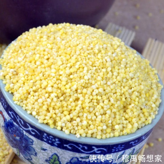 小米粥|煮小米粥,挑选小米是关键,牢记3技巧,快速开花,米油厚不溢锅