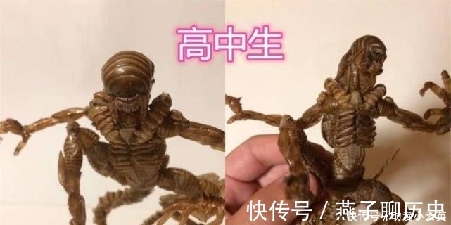 鬼点子|“知了”被虐很惨?大学生直接吃,高中生做手办,小学生简直魔鬼