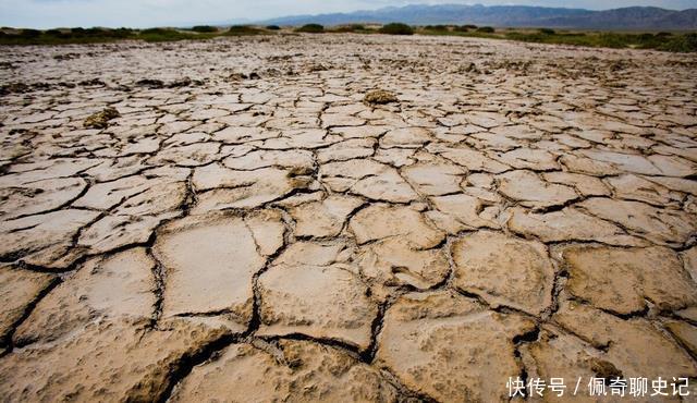 无福|俗话“有福之人两腿毛,无福之人毛两腿”啥逻辑?老祖宗太会看了