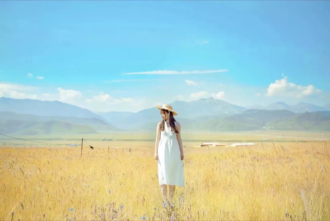 叫醒$?叫醒自己(此文无价)