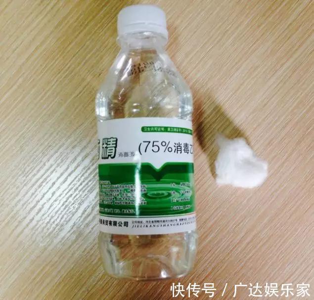 红蜘蛛|养花自制杀菌杀虫水,10天浇一勺,不生虫不得病,长得太旺!