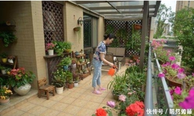 3种“细菌”最讨厌的植物,家里种几盆,家人少生病,身体更健康