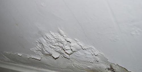 发霉|墙皮发霉脱落怎么办?装修师傅分享一妙招,让你轻松解决