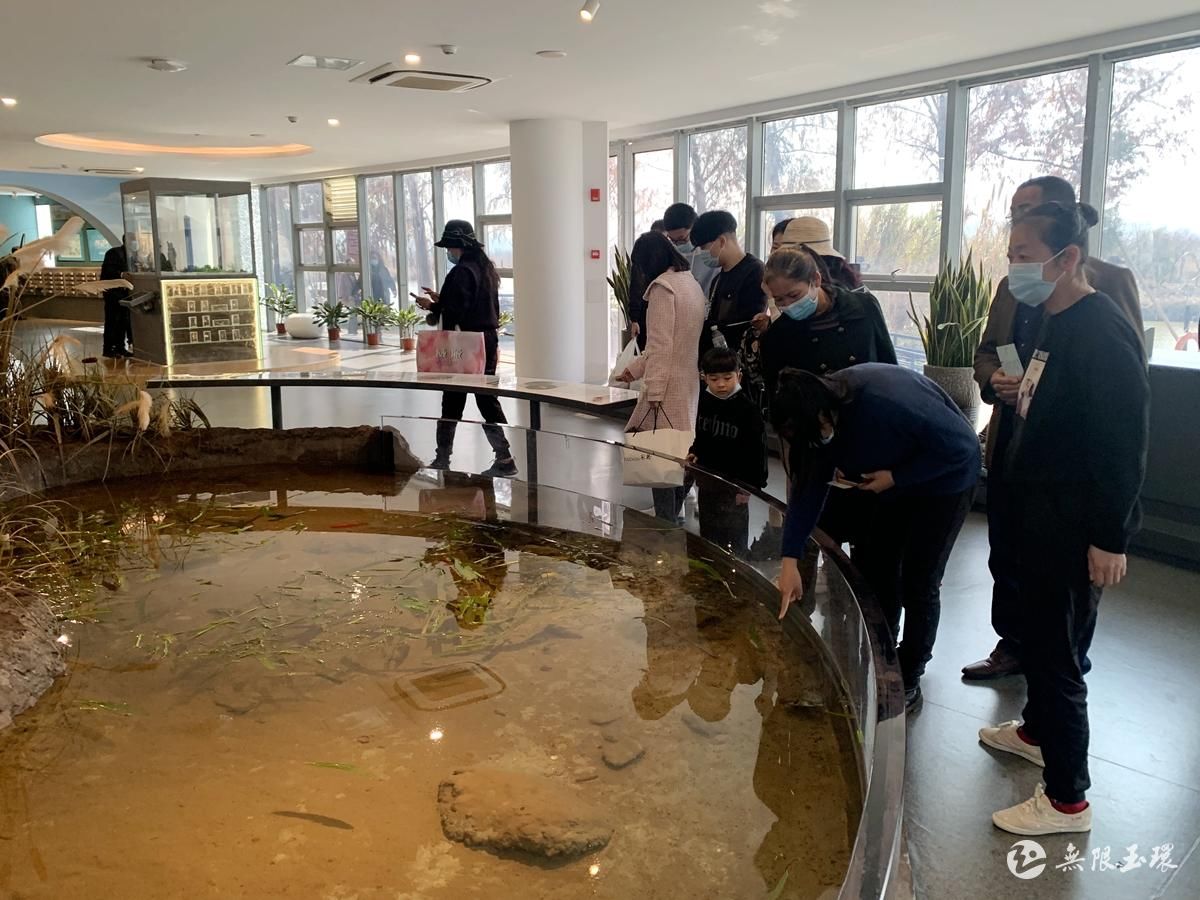 家庭|抓住春节假期的尾巴 来玉环这个地方涨知识吧！