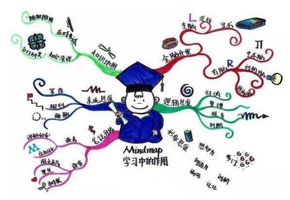 兴趣|李玫瑾：12岁前别给娃报这2种兴趣班，浪费钱，脑力训练才是关键