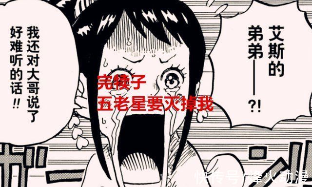 五老星|海贼王1037话:被忽视的重要果实，或许五老星真正的目标是她