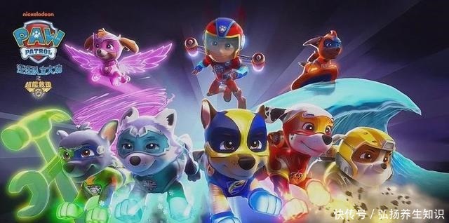 《汪汪队立大功之超能救援》进电影院看三集动画片,我也是醉了