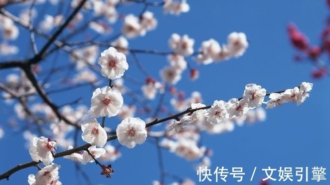 少壮|初读不解诗中意,再读已是诗中人,最怕忽然就读懂了这些诗词