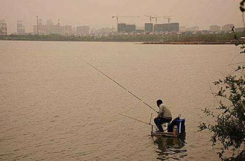 野河钓鲤鱼，能做到七钓七不钓，快速上鱼不是事