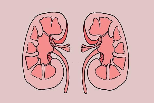 睡觉时|睡觉时,老是易醒、多梦,是咋回事?除了失眠,也可能是疾病作祟