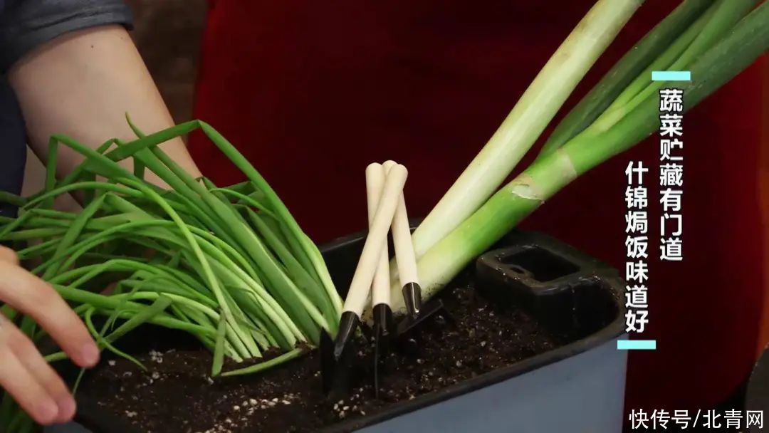 误区|冰箱不是保险箱！五大蔬果的贮藏误区，看看你有没有做错