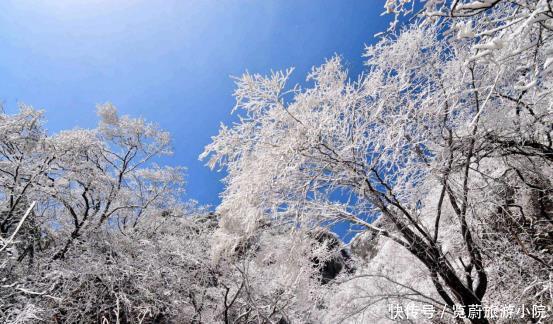 盛世|最不可辜负的雪之盛世——秦岭紫柏山！