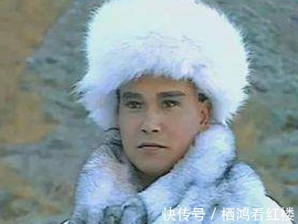 杀父真凶&胡斐为什么放着杀父真凶阎基不管,却追得凤天南满世界跑?