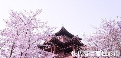 青龙寺|青龙寺：西安一座“樱花寺庙”，向你展示曾经的大唐盛世