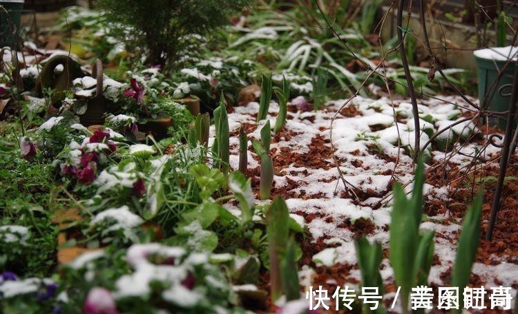 花园|荒废多年的80㎡小院，2年半时间打造成下沉式花园，太漂亮了！