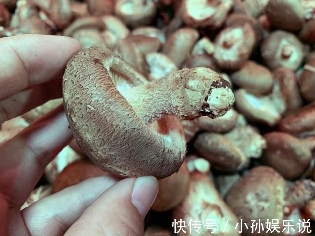 买香菇，选大的还是小的？老菜农教你4招，香菇味道浓郁又新鲜