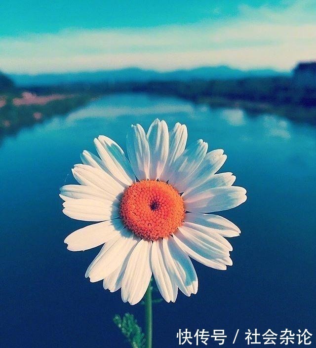 人生|令人受益匪浅的一段话,经典有理,能改变自己!