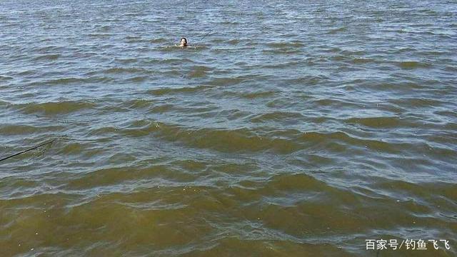 危险!这两个季节是钓鱼人的“克星”开钓需谨慎,血淋淋的教训