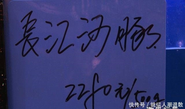 河鲀|中国最贵的鱼,一个吃不起一个不敢吃,还有一个吃没了