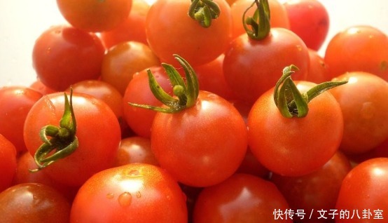 西红柿|西红柿究竟有哪些营养价值?什么样的吃法才最合适?