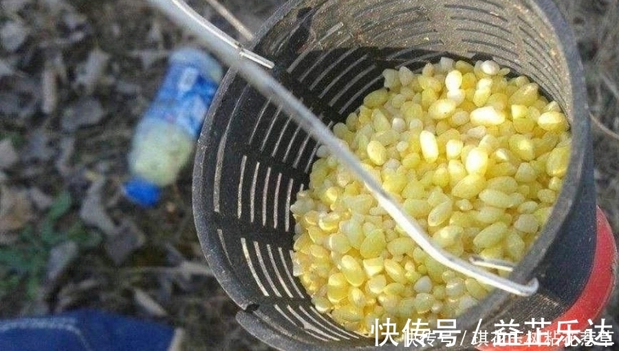 大板鲫不咬钩，只怪天气不好？老钓手换用这套钓法，刚下竿就中鱼