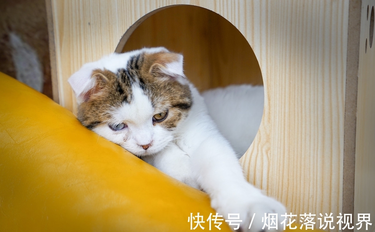 |幽默笑话:你太坏了,知道家里就一个搓衣板让我先进去