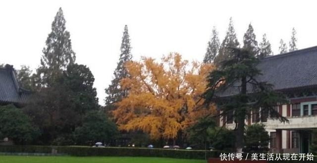 师范大学|我国“最好”的5所师范大学，就业口碑很好，考上前途不愁！