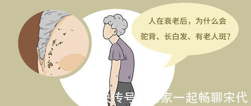 污染物|鼻毛变白,和什么原因有关?越早了解越好,别让身体过早衰老