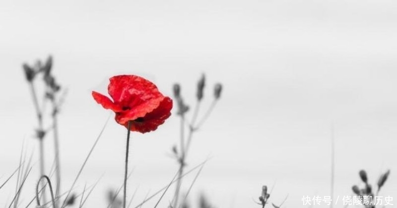 杨万里$范成大最生动有趣的一首诗,把乡村生活描绘得活灵活现,值得一读