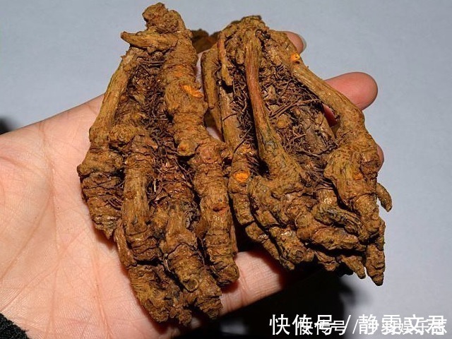 寒湿|女人体寒易得妇科病,一妙招除寒湿,比红豆薏米强十倍