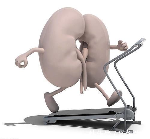 肾阴|谈笑间,肾精灰飞烟灭,怎样才能真正补到肾精?