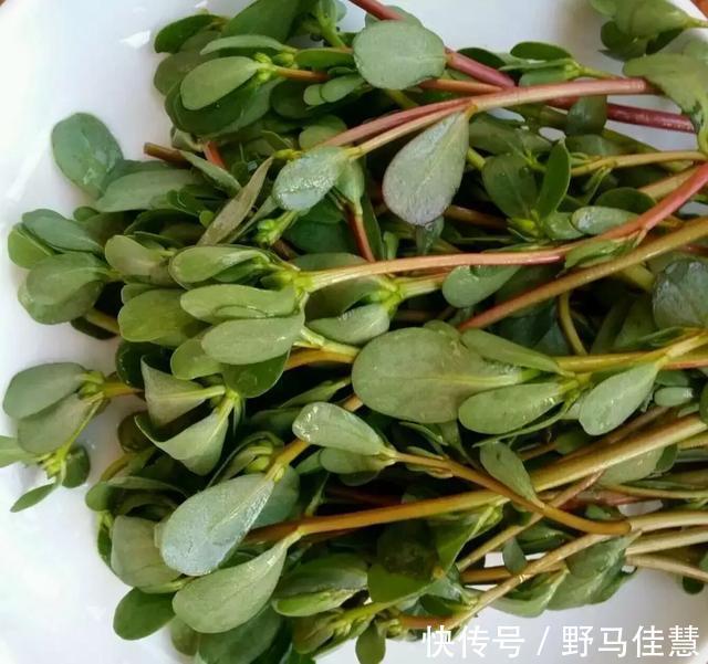 蔬菜|药补不如食补,日常蔬菜功效一览表!您的体质该吃什么一目了然!