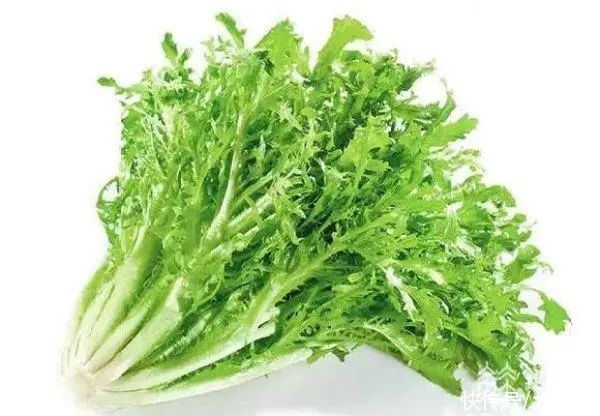 养心|夏天吃点“苦”这些养生食物记得收藏