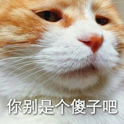 阿祖|千万别在某宝搜这个东西，太沙雕了忍不住想买