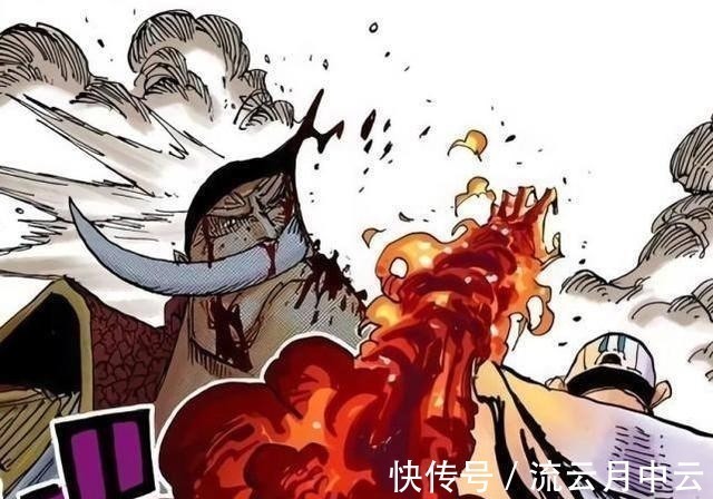 路飞|海贼王为过审而删掉的漫画剧情,蕾玖因变身太没被删海迷被气哭了