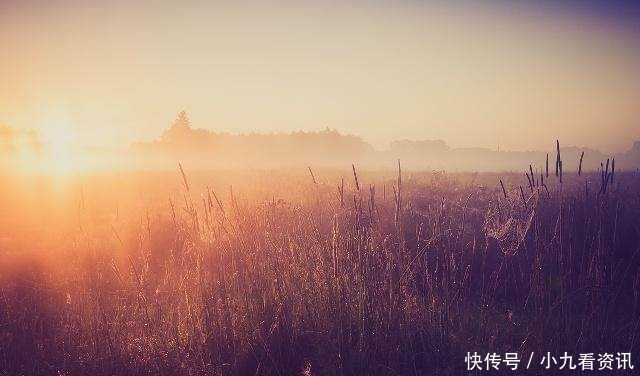 一道残阳铺水中，半江瑟瑟半江红丨10首最美的夕阳落日诗