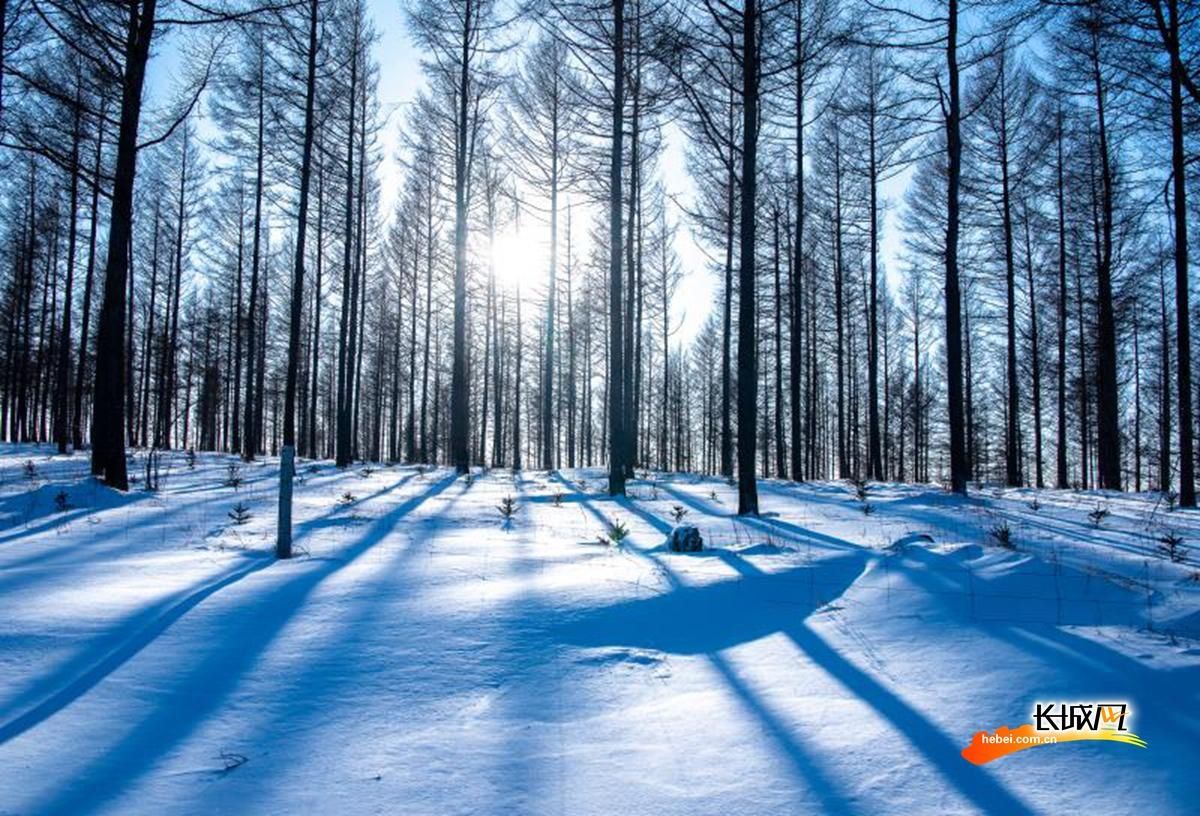 塞罕坝|高清组图｜塞罕坝·雪