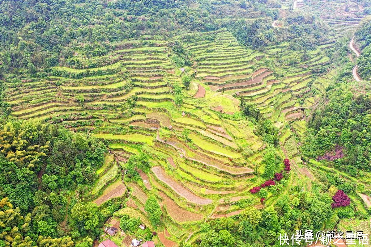 交界地|台州和宁波交界地，紫云山名源于永乐帝朱棣，梯田层叠很壮观