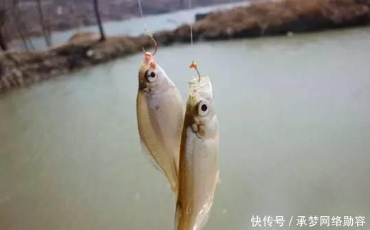 农村小伙钓鱼就是狠,这样打窝,钓鱼钓到手发软