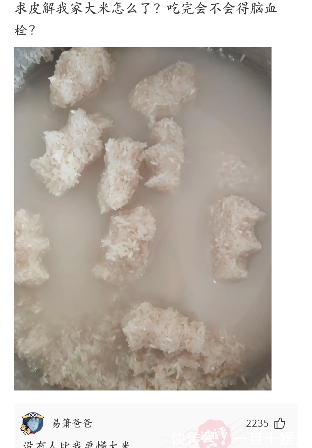 |神段子：笑死人了，白居易为什么写了《琵琶行》但是不娶琵琶女？