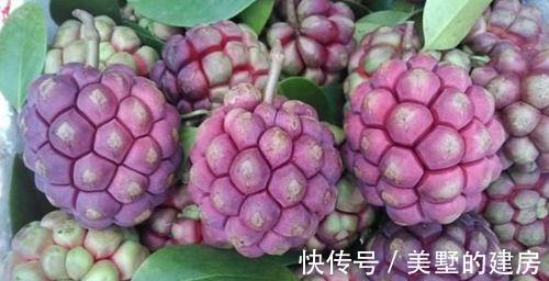 维生素爱美的人都爱吃3物,促进食物消化,改善便秘,气色红润更年轻