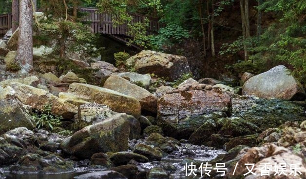 照片&德艺术家把不着片缕的美女隐藏在照片中,人体彩绘伪装下佳人何在