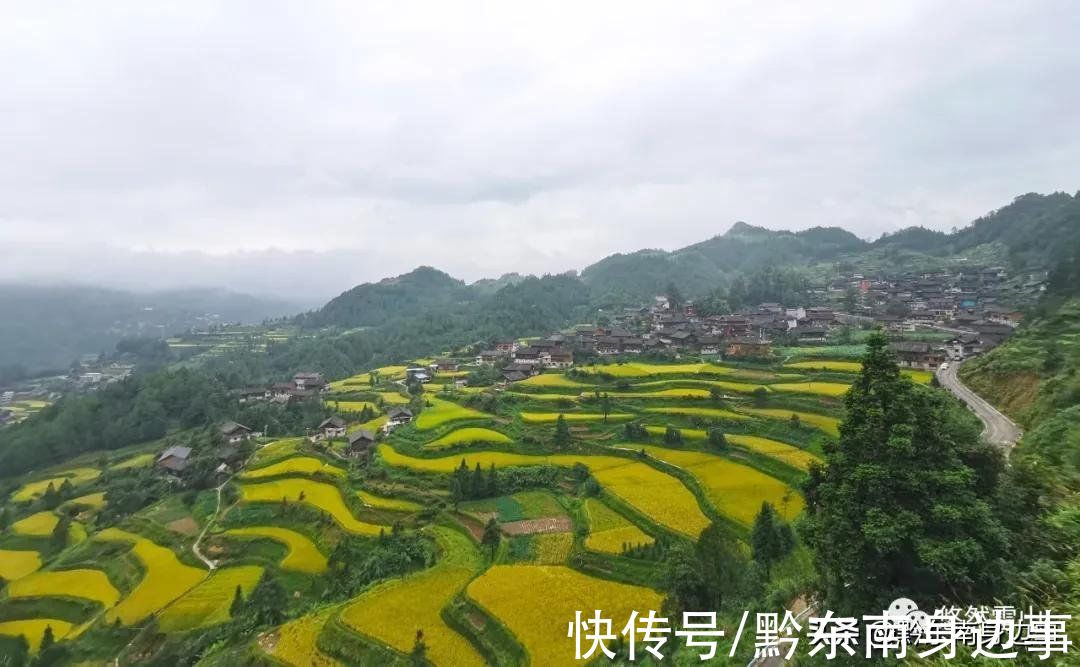 雷山|九月的雷山，怎么少得了梯田的点缀