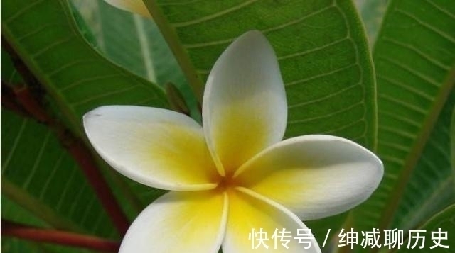 为人处世#内心强大的人,为人处世时,往往遵循这四条法则