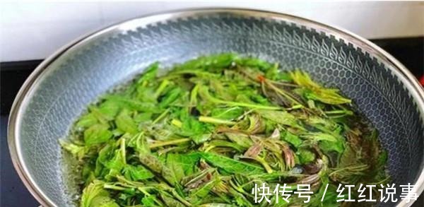 10种焯水才能吃的菜,为了家人再忙也不能省事,事关安全!