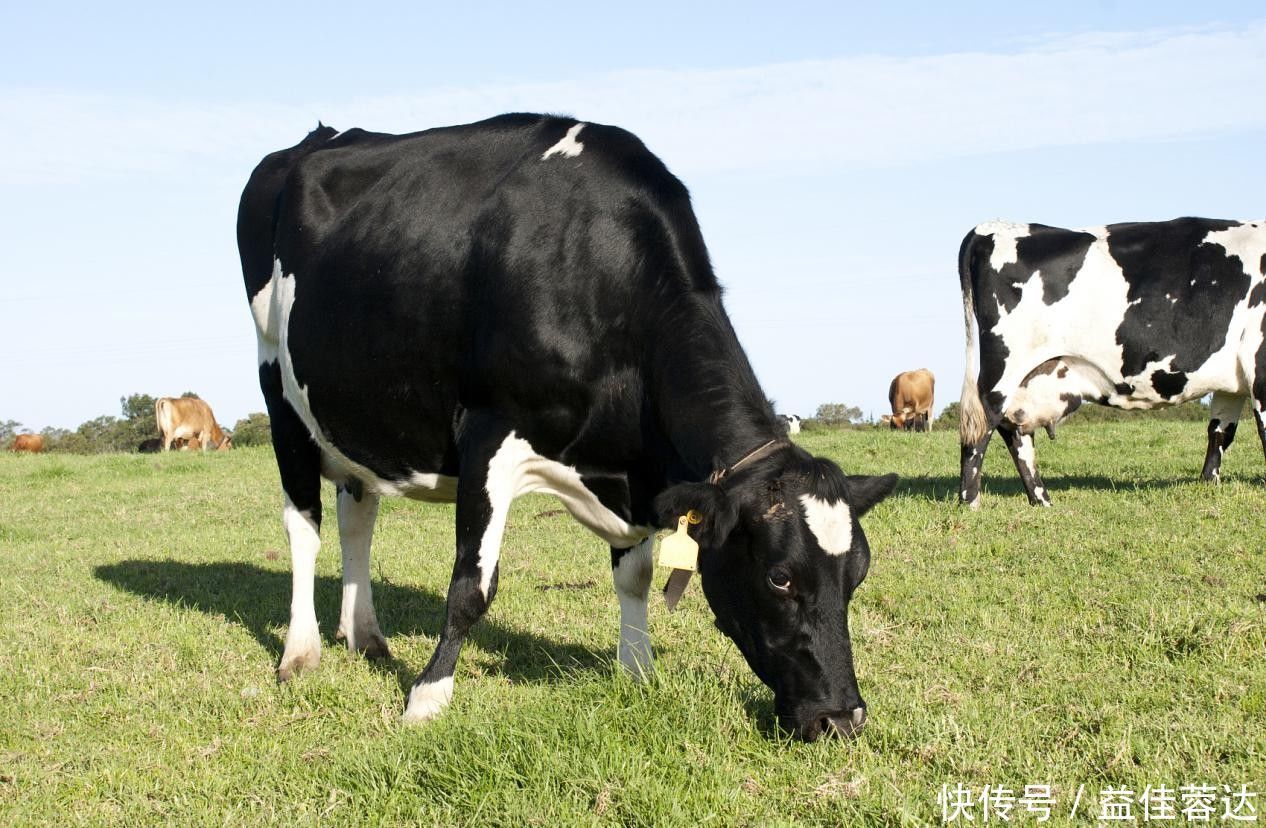治疗|面对过敏,妈妈需知道这个治疗方法,很有效