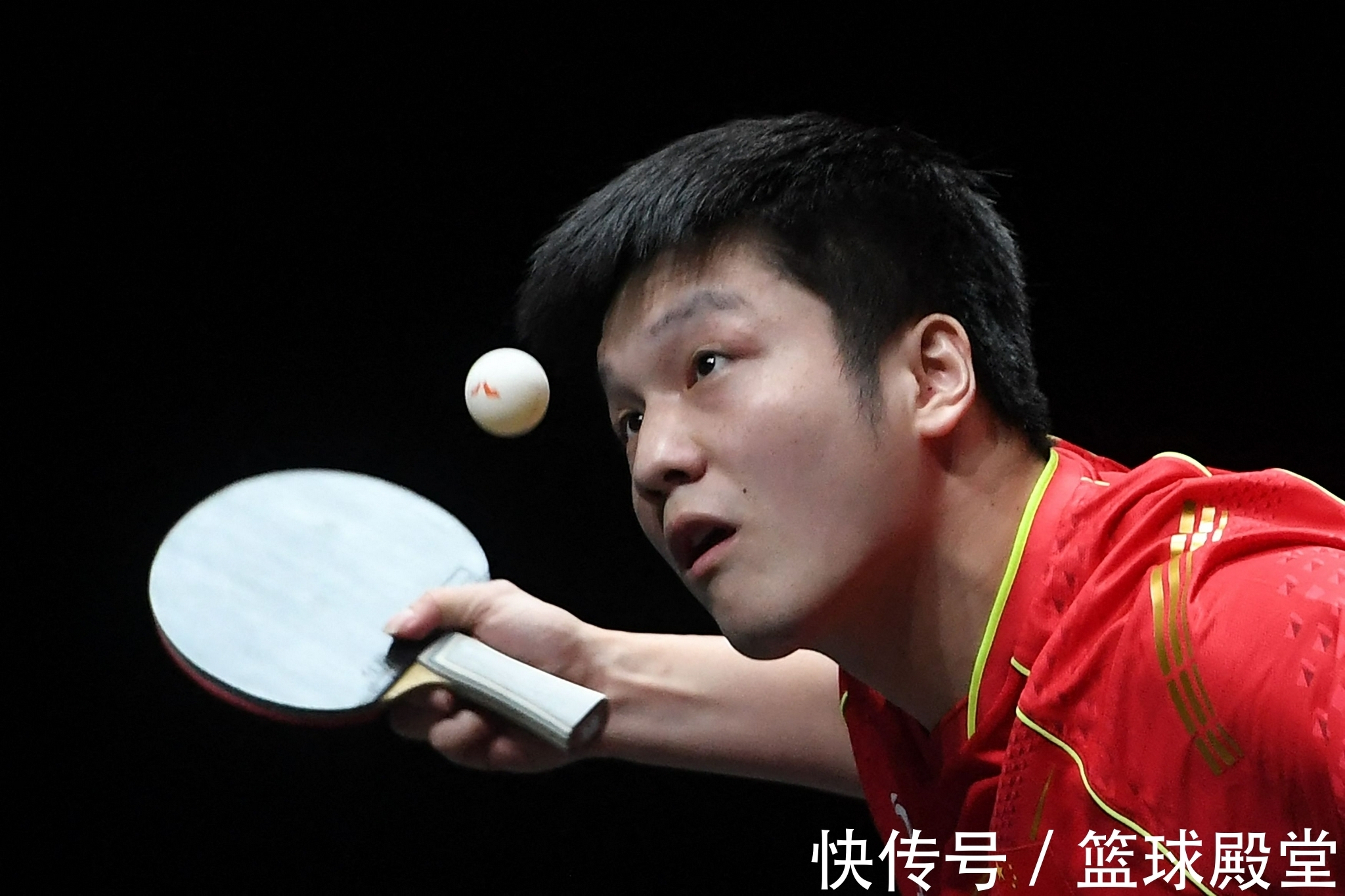 張本智和|樊振東獲男單冠軍!賽后霸王步,采訪低調+親承疲勞,并感謝球迷