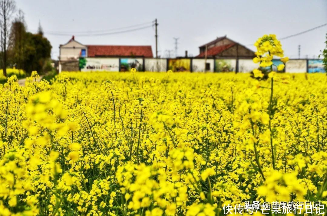 清明节该去趟江苏了，这份3000字的自由行攻略请拿好