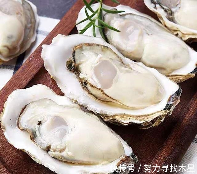 蒜蓉蒸生蚝。新手小白一学就会